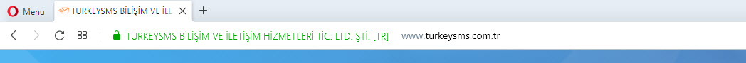 Turkey SMS SSL